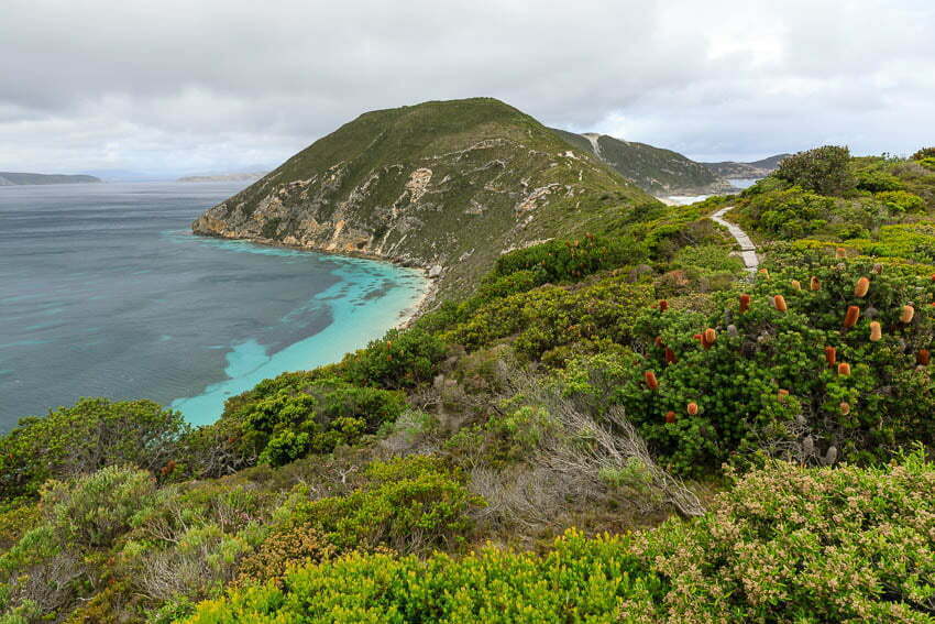 Isthmus Head – Bald Head | Wild Adventures - Stephen and Sue