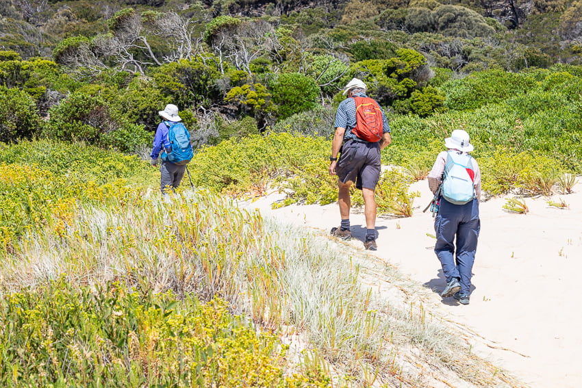 Bakers Beach Archers Knob Springlawn Lagoon Springlawn Bird Hide