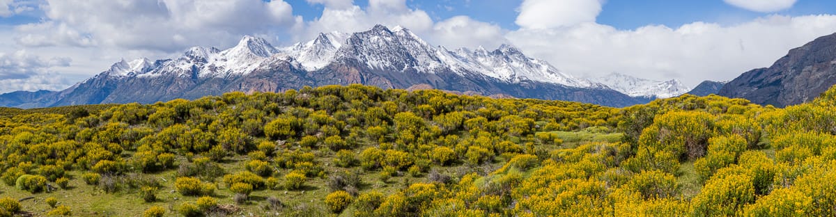 Wild Adventures – Stephen and Sue