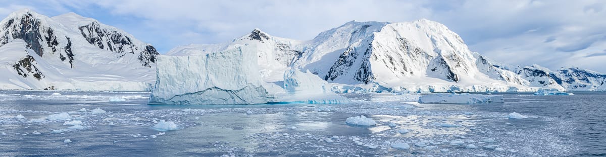 Wild Adventures – Stephen and Sue